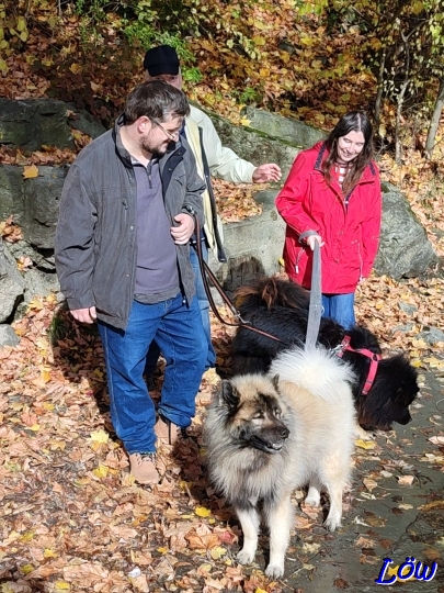 2.11.2025 - Kontrolle des Murwasser